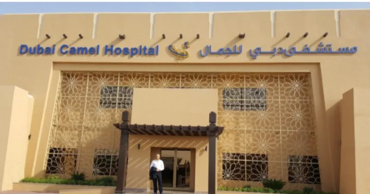 Facciata del Dubai Camel Hospital